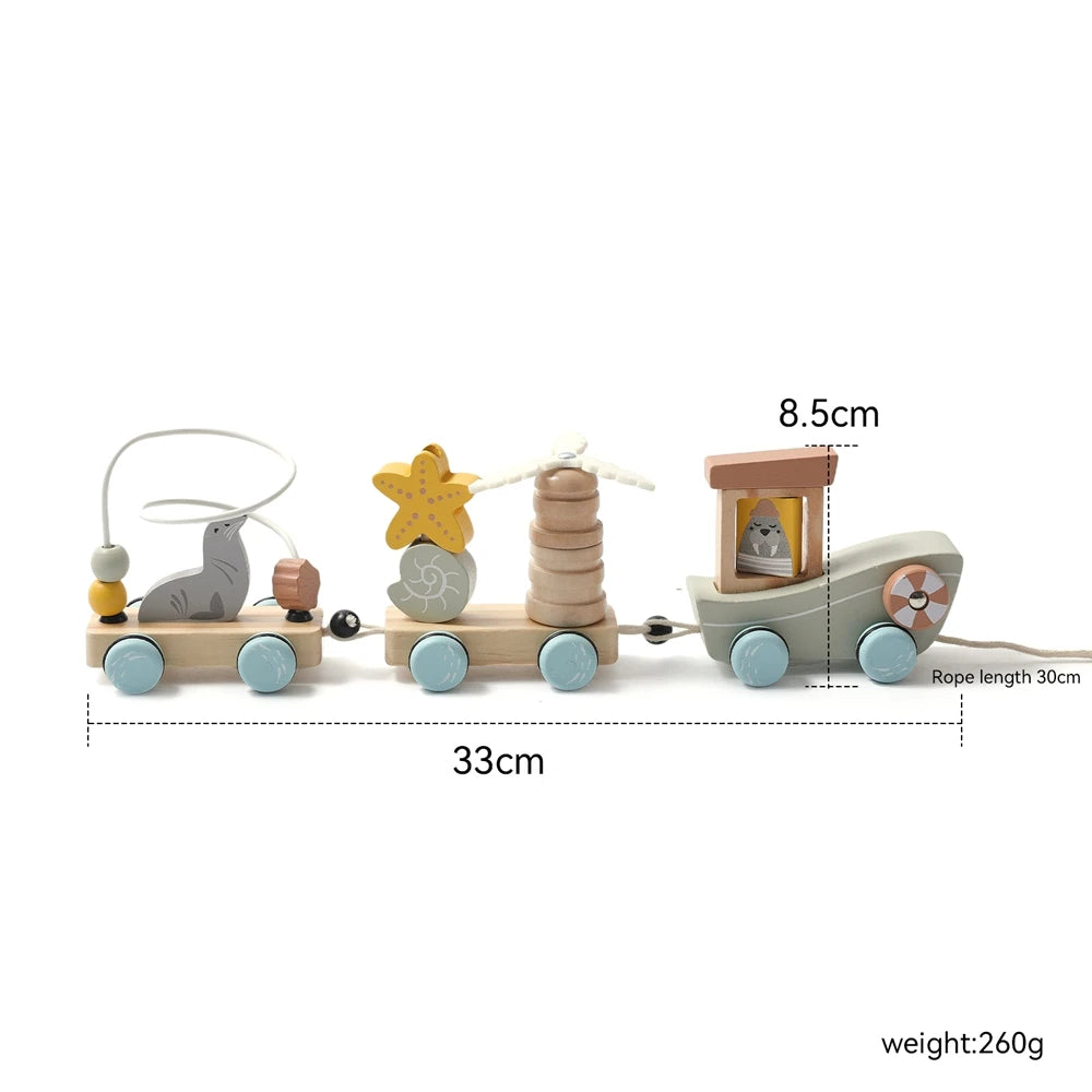 Classic Montessori Train Toy