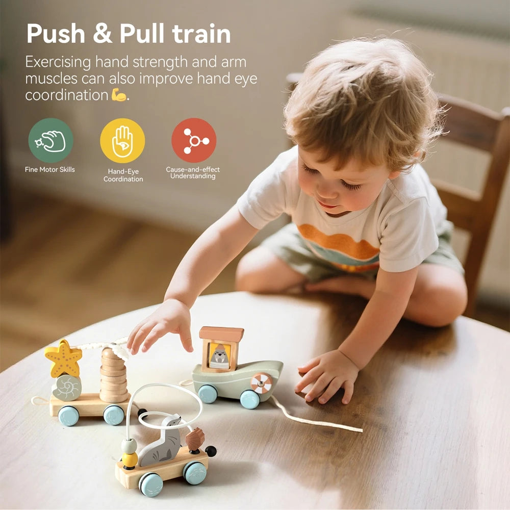 Classic Montessori Train Toy
