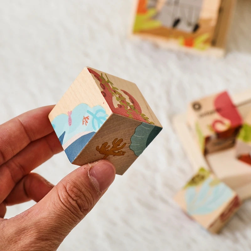 Baby Russian Wooden Blocks Puzzle