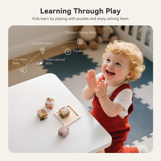 Baby Russian Wooden Blocks Puzzle