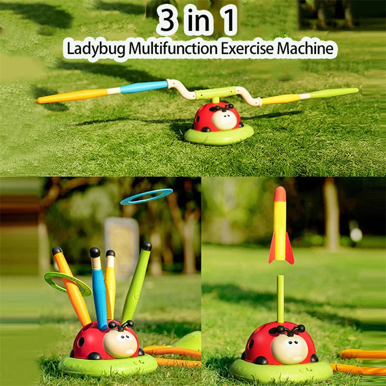 3 in 1 Ladybird Exercise Game