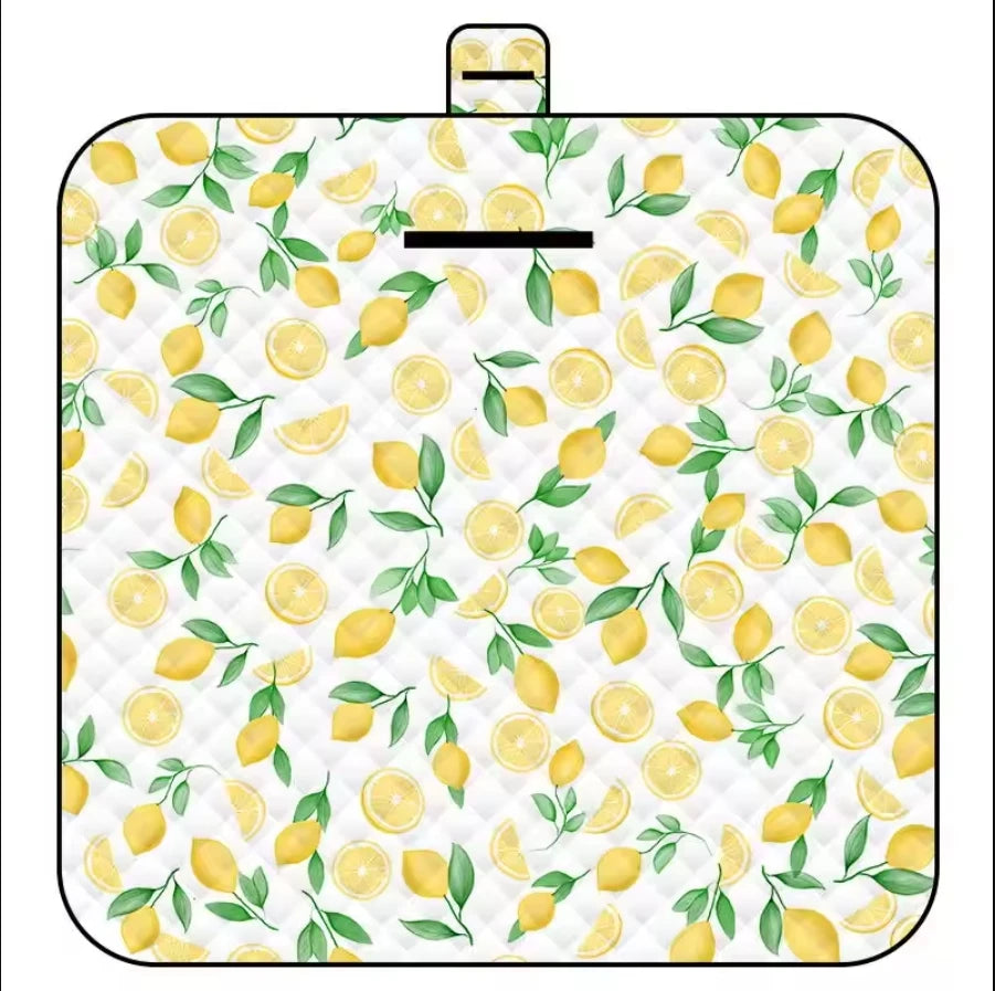 Baby Foldable Outdoor Mat