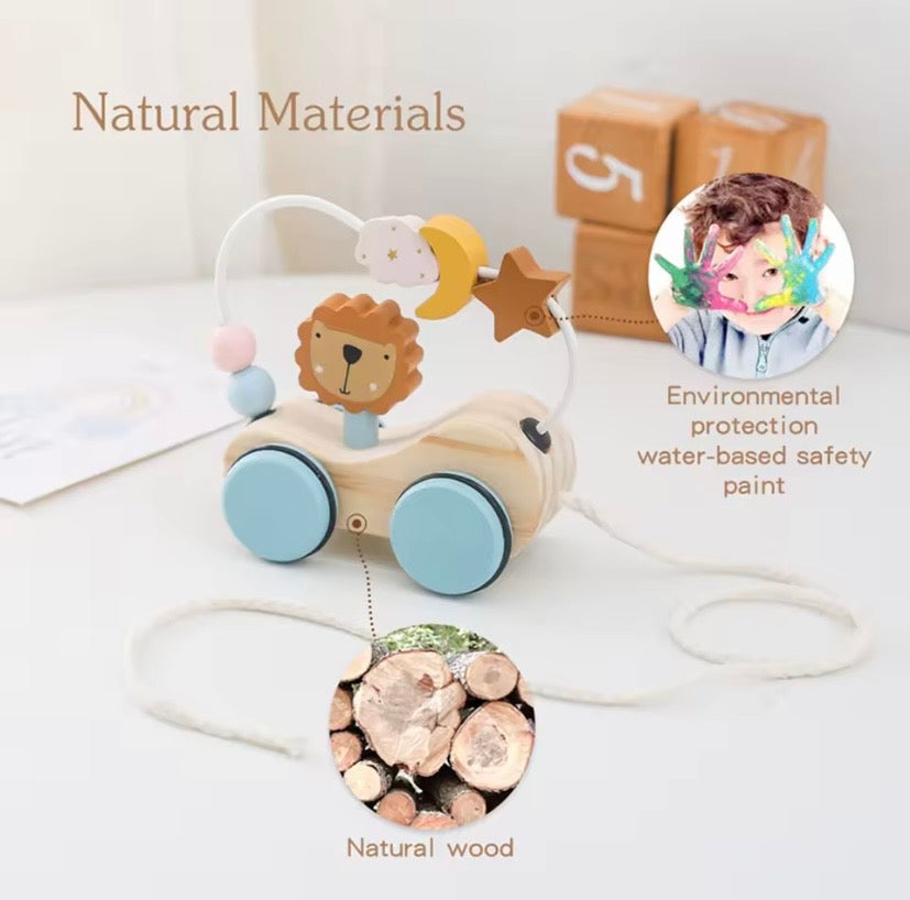 Montessori Baby Wooden Toy Set (6 Pcs)