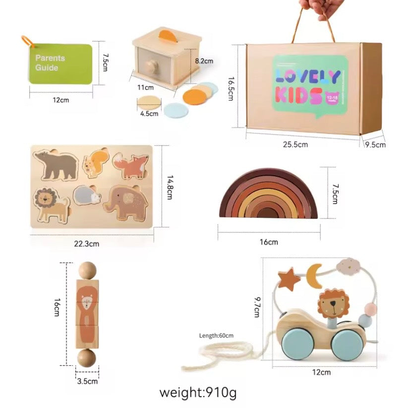 Montessori Baby Wooden Toy Set (6 Pcs)