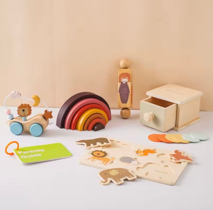 Montessori Baby Wooden Toy Set (6 Pcs)