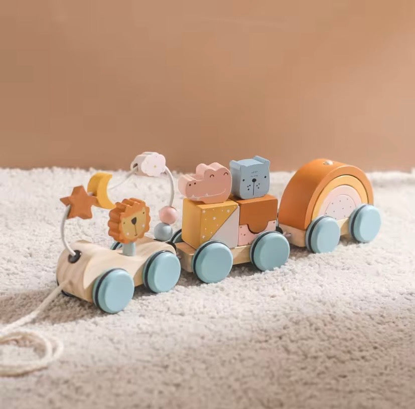 Leo Lion Train Toy