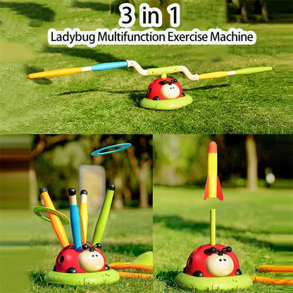 3 in 1 Ladybird Exercise Game