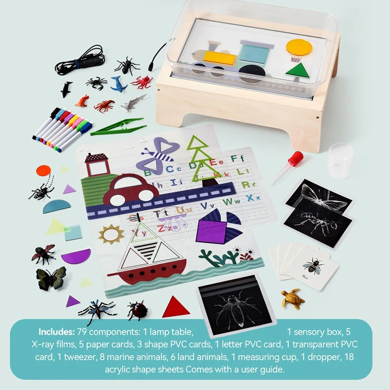 Glow Sensory Play Board