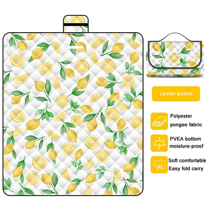 Baby Foldable Outdoor Mat