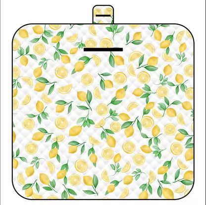 Baby Foldable Outdoor Mat